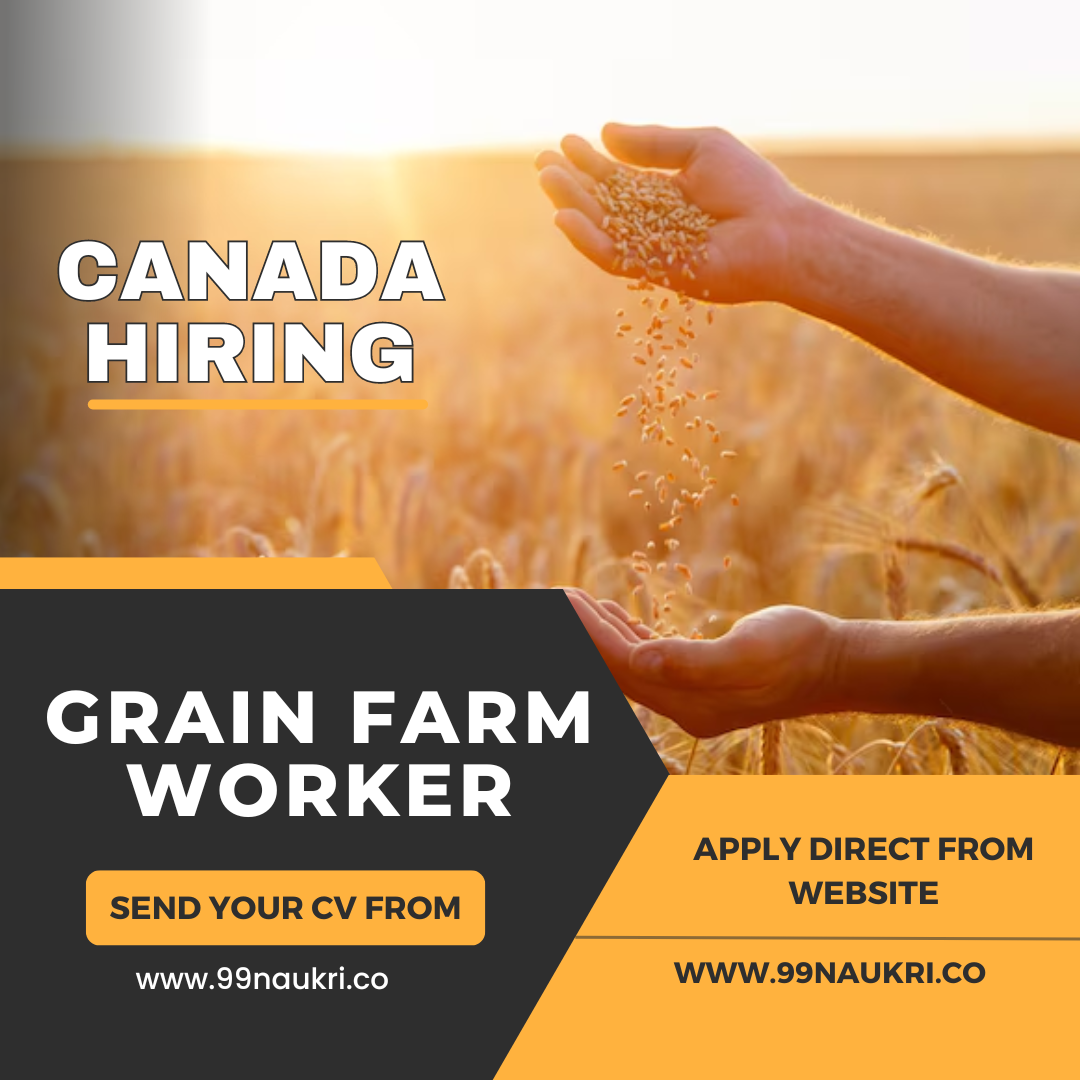 Grain Farm Worker Jobs in Canada