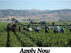 Farm Jobs in Canada