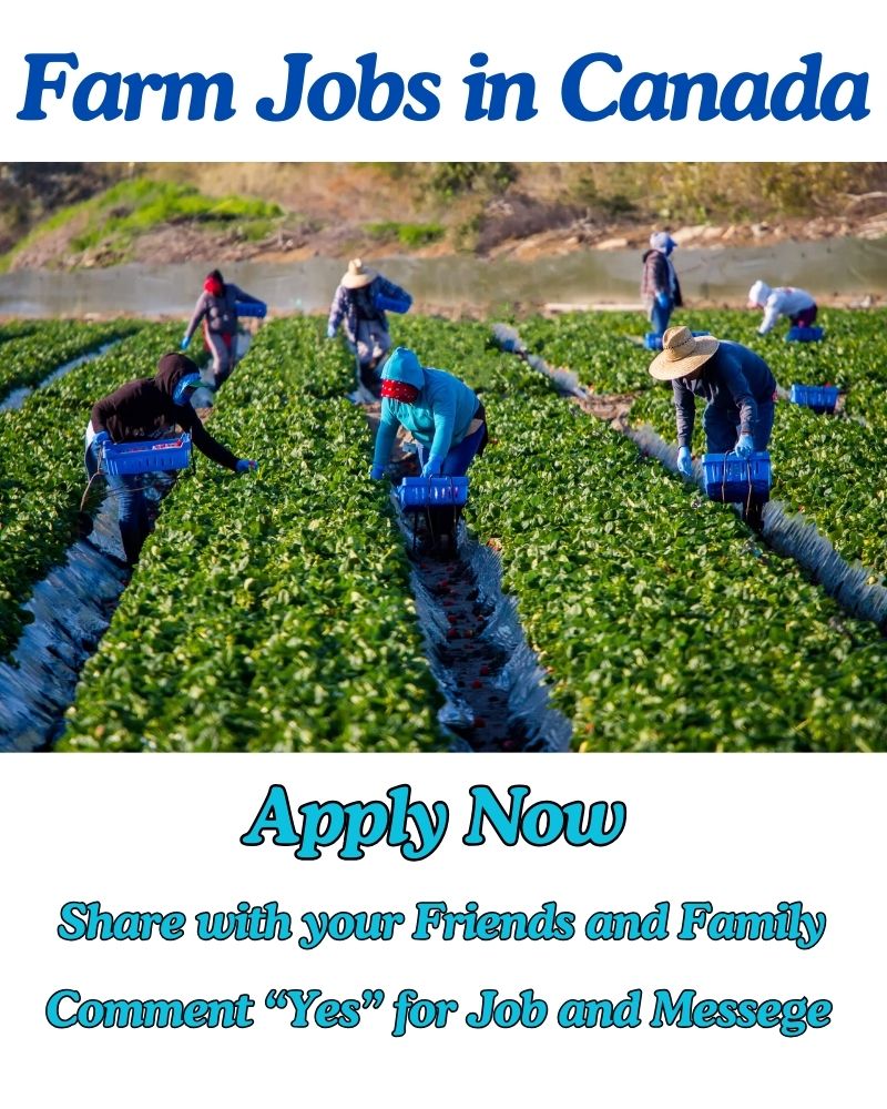 General Farm Worker Jobs in Canada