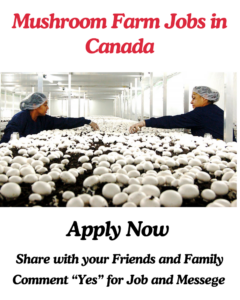 Mushroom Farm Jobs in Canada