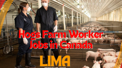 Hogs Farm Worker Jobs in Canada