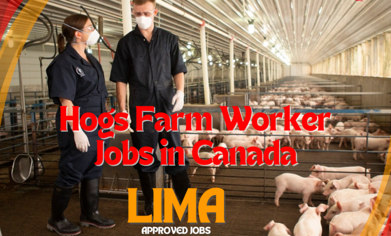 Hogs Farm Worker Jobs in Canada